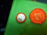 Look at the size of the carrots sliced! That is a quarter placed at the smallest end of this carrot!
