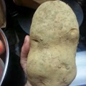 Look at the size of this potato!!!!